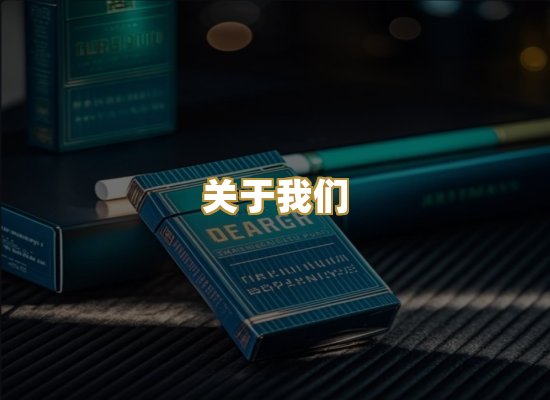关于我们